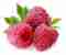 Frische Himbeeren